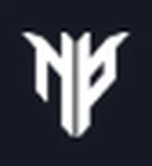 NaxoProjects logo